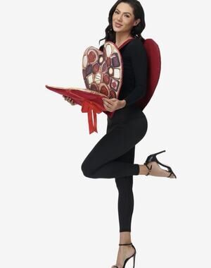 Valentine's Day Heart Shaped Box of Chocolates Costume Women’s OSFM